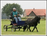 Mr  Ed 3 Beim Einfahren 08-2010